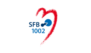[Translate to Englisch:] SFB 1002 Logo